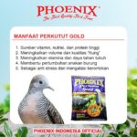 Situs Gacor Bagus: Tips dan Trik Agar Burung Rajin Berkicau